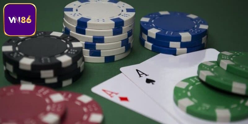 Catte 6 Cây Là Gì - Trò Chơi Đối Kháng Đầy Cảm Xúc