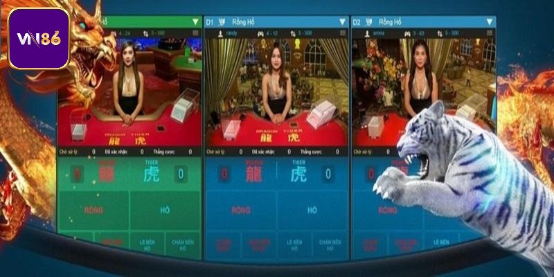 Nắm bắt từng quân bài xuất hiện