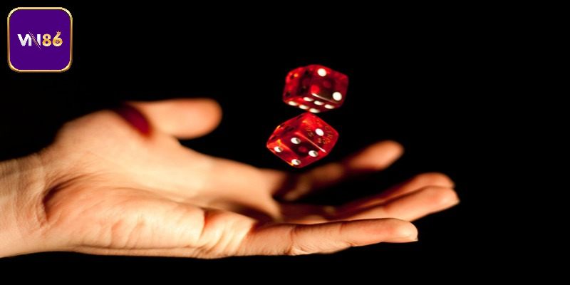 Quy trình tham gia đánh tài xỉu cho tân binh