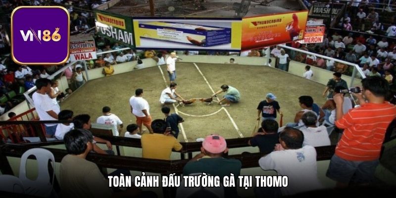 Toàn cảnh đấu trường gà tại Thomo