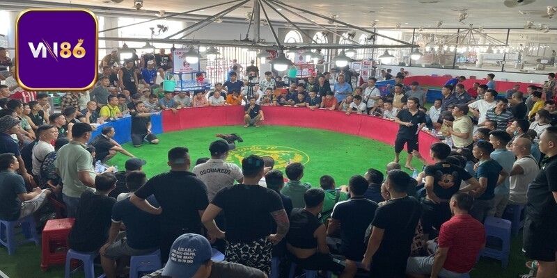 Trường gà thiết kế hệ thống an ninh chặt chẽ